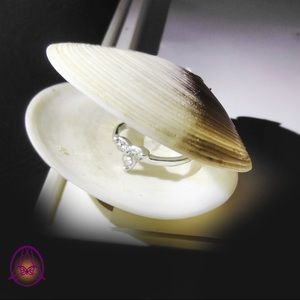 White Shell Jewelry Holder